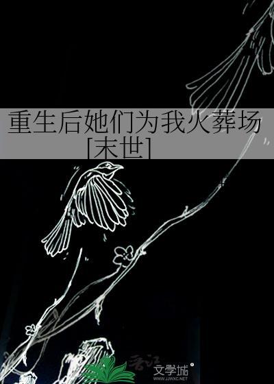 弹幕说我爱错了人！封面