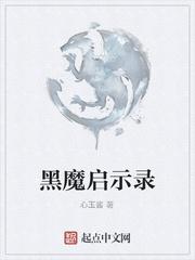 共同的荣耀封面