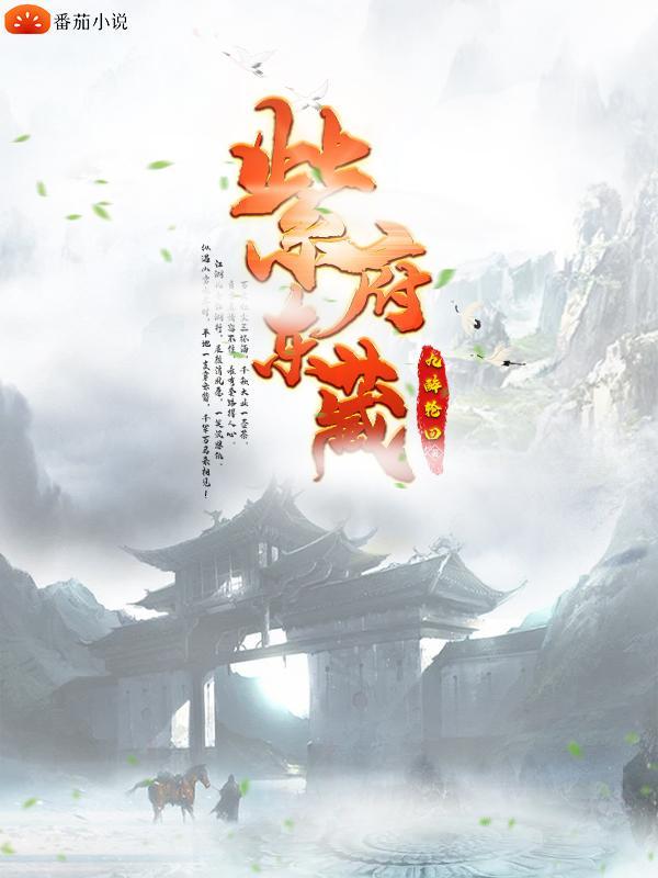 千年一瞬白发如月封面