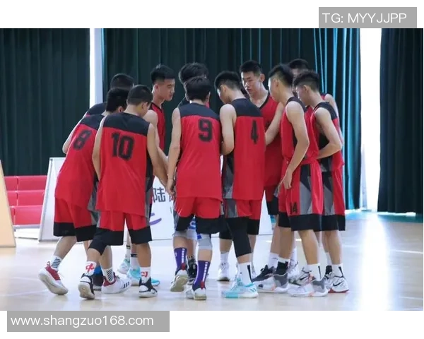 西安篮球队引领最新篮球意识TOP10榜单展现实力与风采